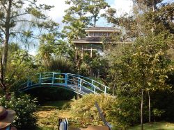 Interpret This Photo March 2022 Small